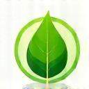 Logo feuille verte illustrant l’écologie